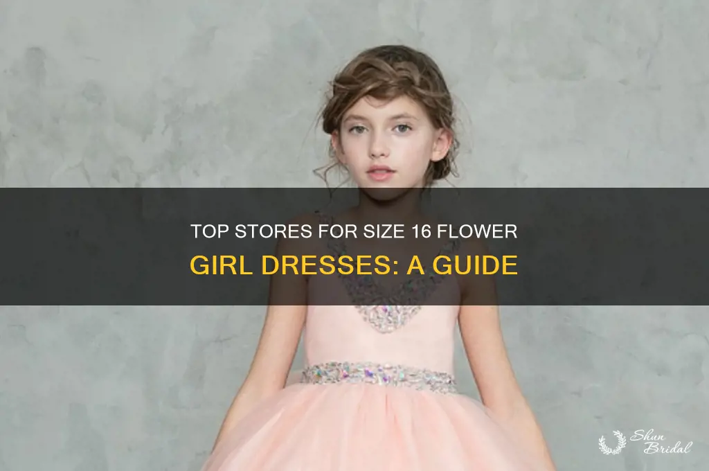 where to buy flower girl dresses size 16