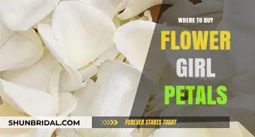 Best Places to Buy Flower Girl Petals for Your Wedding