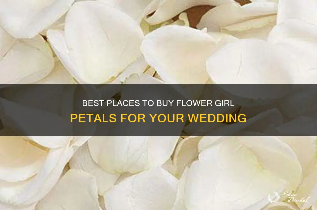 where to buy flower girl petals