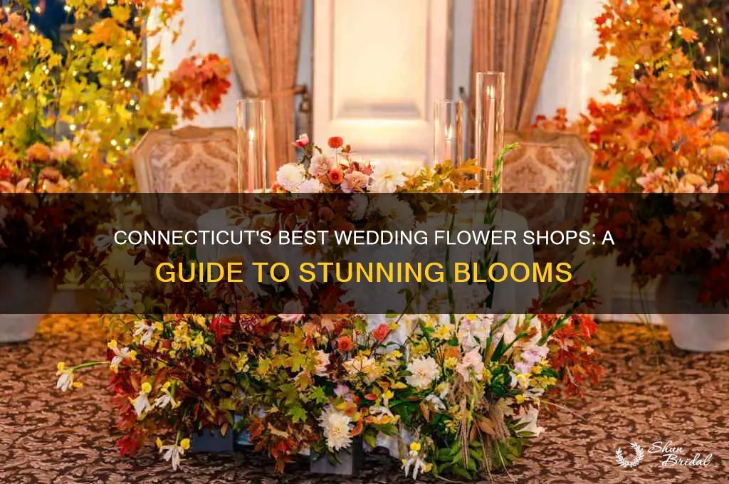 where to buy flowers for wedding connecticut