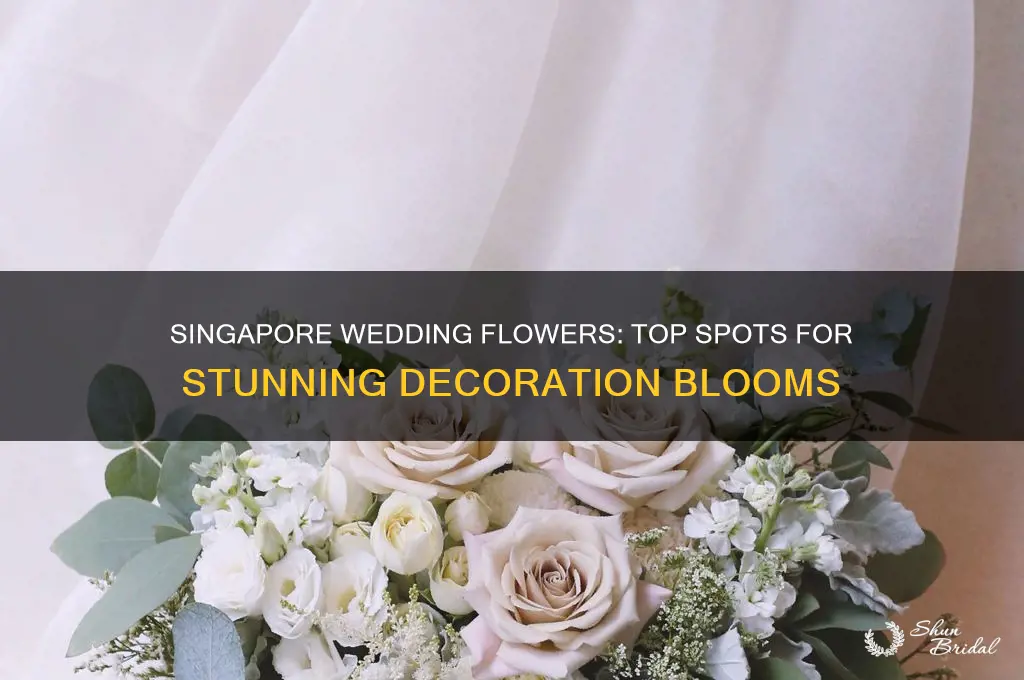 where to buy flowers singapore wedding decoration