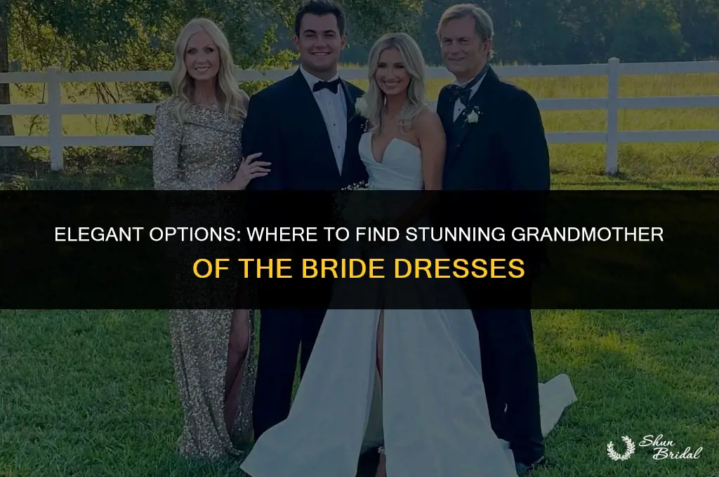 where to buy grandmother of the bride dresses