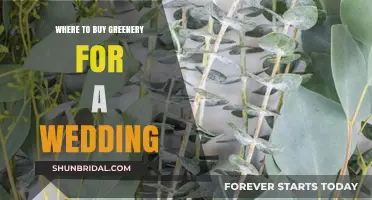 Where to Find Stunning Wedding Greenery: Top Sources and Tips