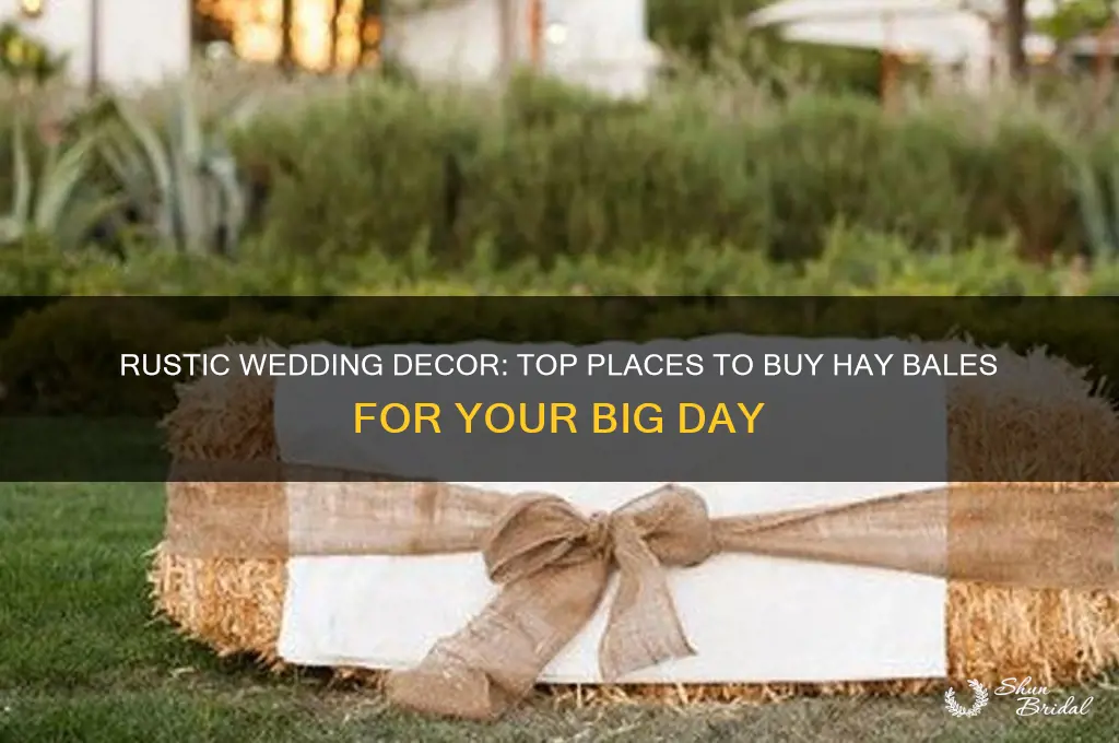 where to buy hay bales for wedding