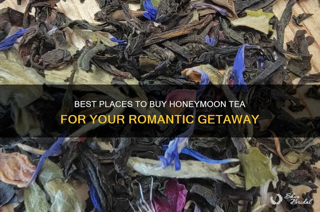 where to buy honeymoon tea