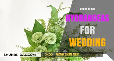 Where to Buy Hydrangeas for Your Dream Wedding Decor