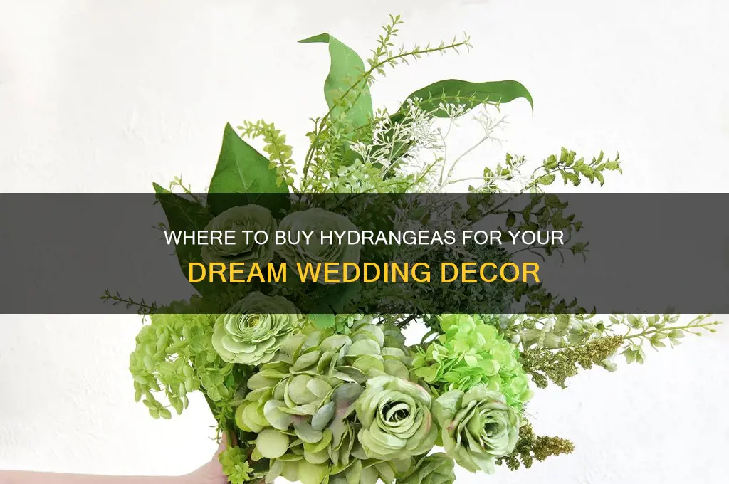 where to buy hydrangeas for wedding