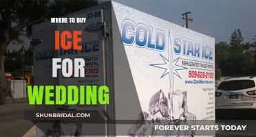 Best Places to Buy Ice for Your Wedding: A Complete Guide