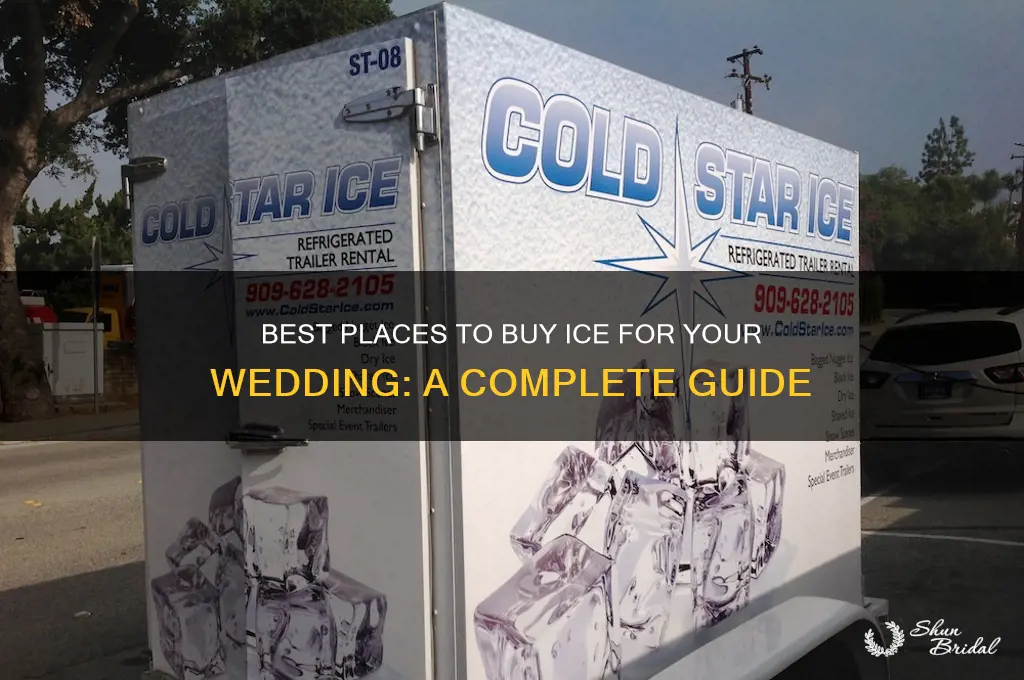 where to buy ice for wedding