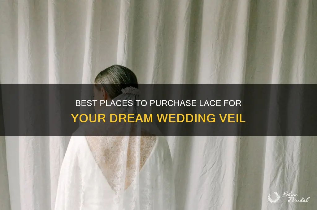 where to buy lace for veil