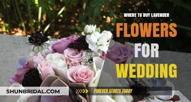 Best Places to Purchase Lavender Flowers for Your Dream Wedding
