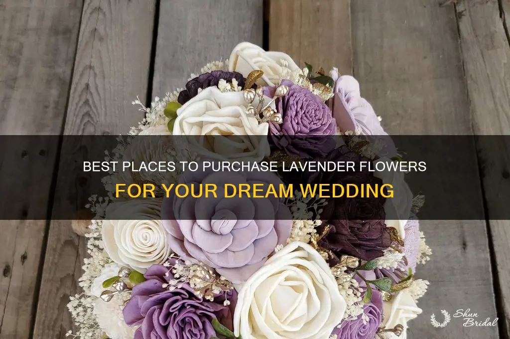 where to buy lavender flowers for wedding