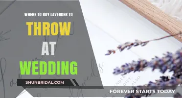 Where to Buy Lavender for Your Wedding Toss: A Guide