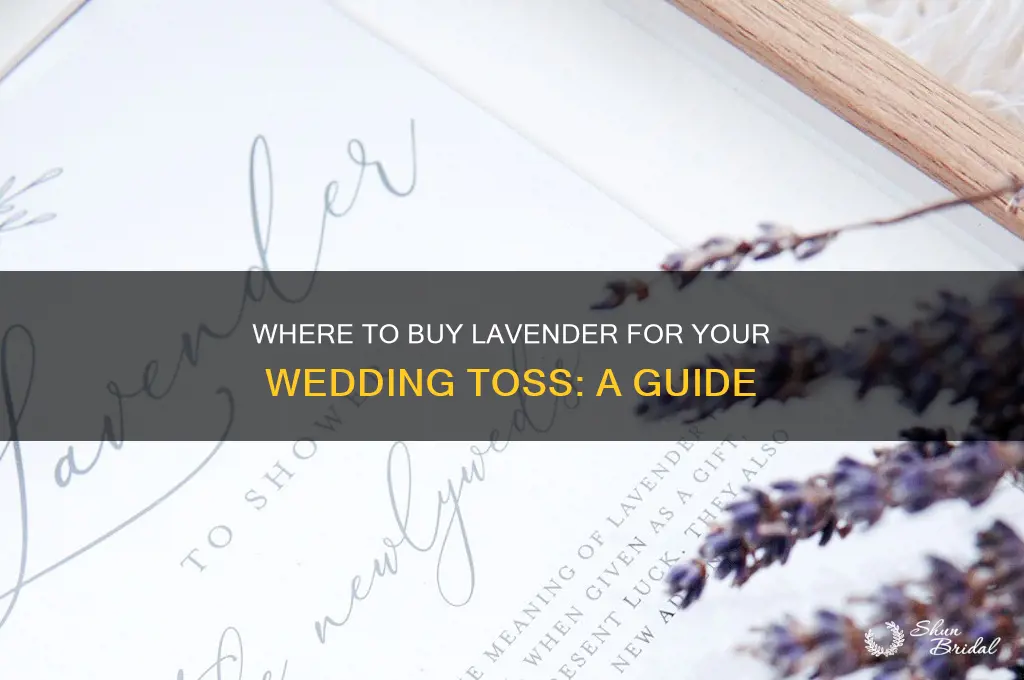 where to buy lavender to throw at wedding