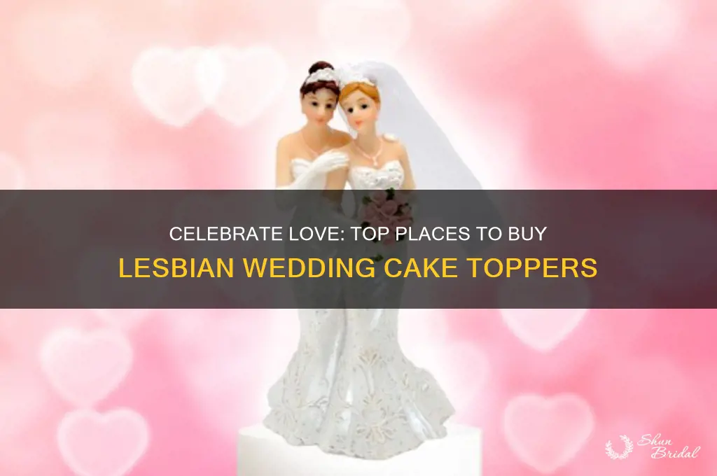 where to buy lesbian wedding toppers