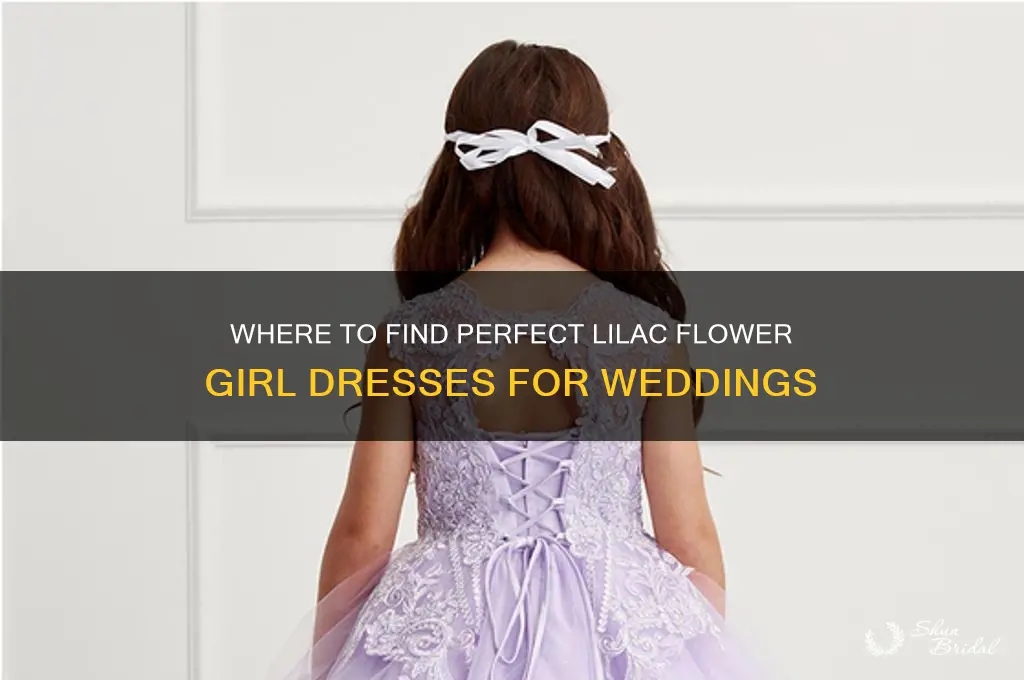 where to buy lilac flower girl dresses