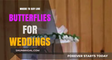Where to Buy Live Butterflies for Your Wedding Celebration