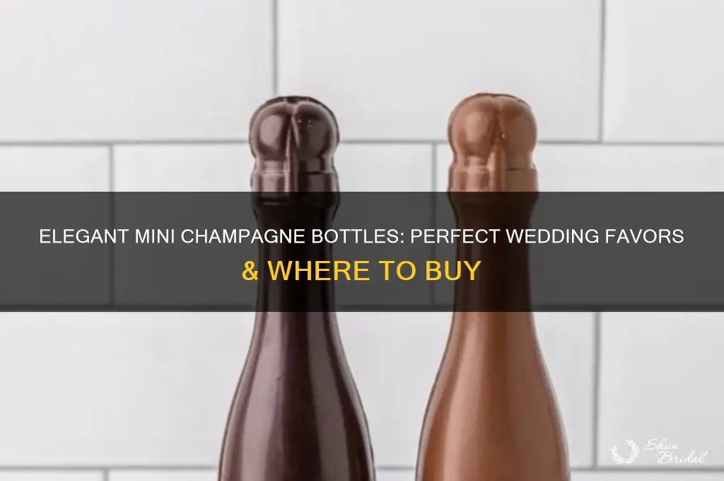 where to buy mini champagne bottles for wedding favors