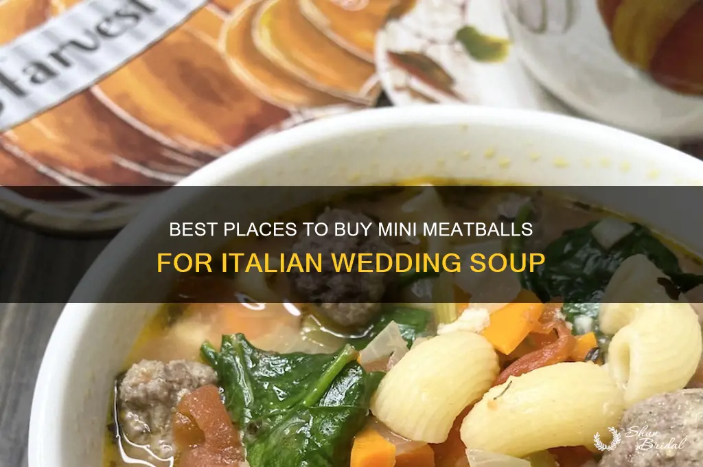 where to buy mini meatballs for italian wedding soup