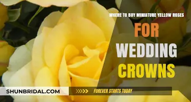 Miniature Yellow Roses for Wedding Crowns: Top Buying Spots