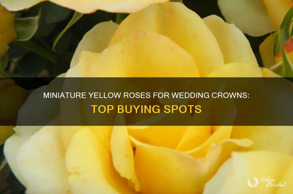 where to buy miniature yellow roses for wedding crowns
