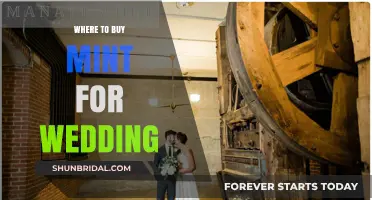 Fresh Mint for Your Wedding: Top Places to Purchase