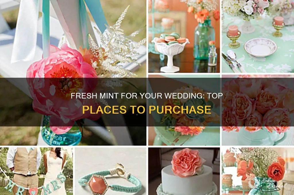where to buy mint for wedding