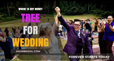 Where to Buy Money Trees for Your Wedding: Top Picks & Tips