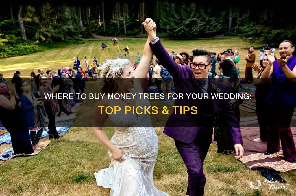 where to buy money tree for wedding