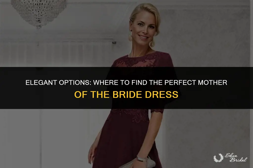 where to buy mother of the bride dress