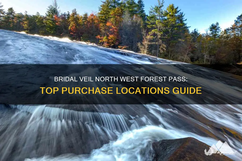 where to buy north west forest pass bridal veil