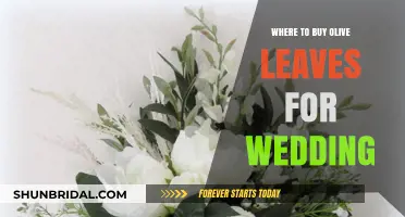 Where to Buy Olive Leaves for Your Wedding Decor: A Guide