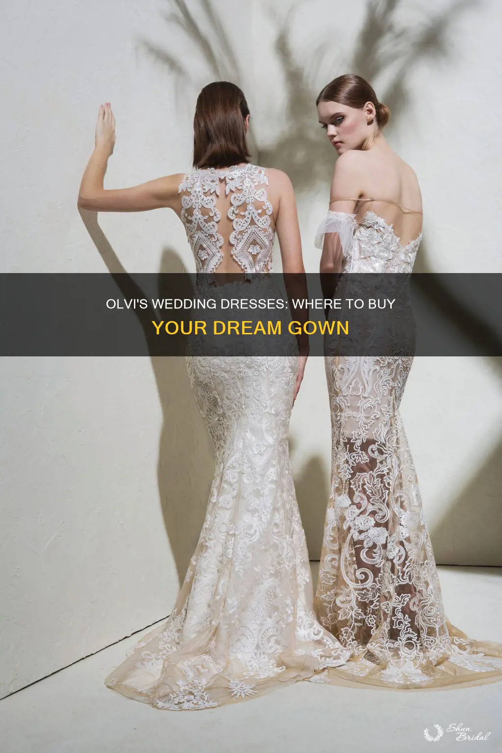 where to buy olvi