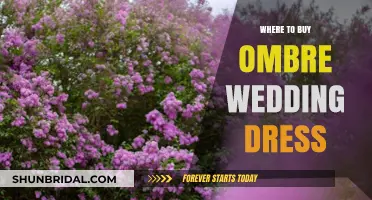 Ombre Wedding Dresses: Where to Buy Guide
