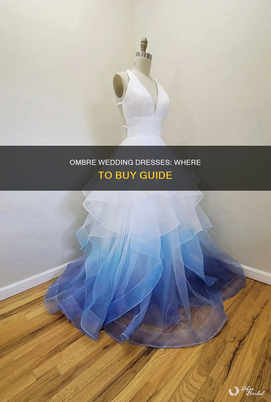 where to buy ombre wedding dress