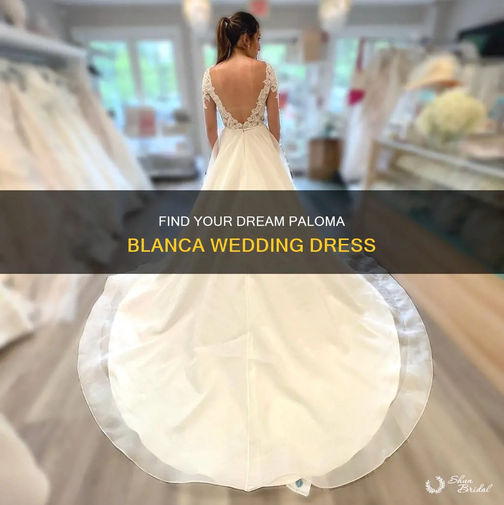 where to buy paloma blanca wedding dresses