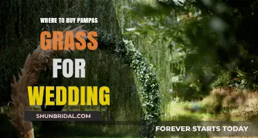 Best Places to Buy Pampas Grass for Your Dream Wedding Decor