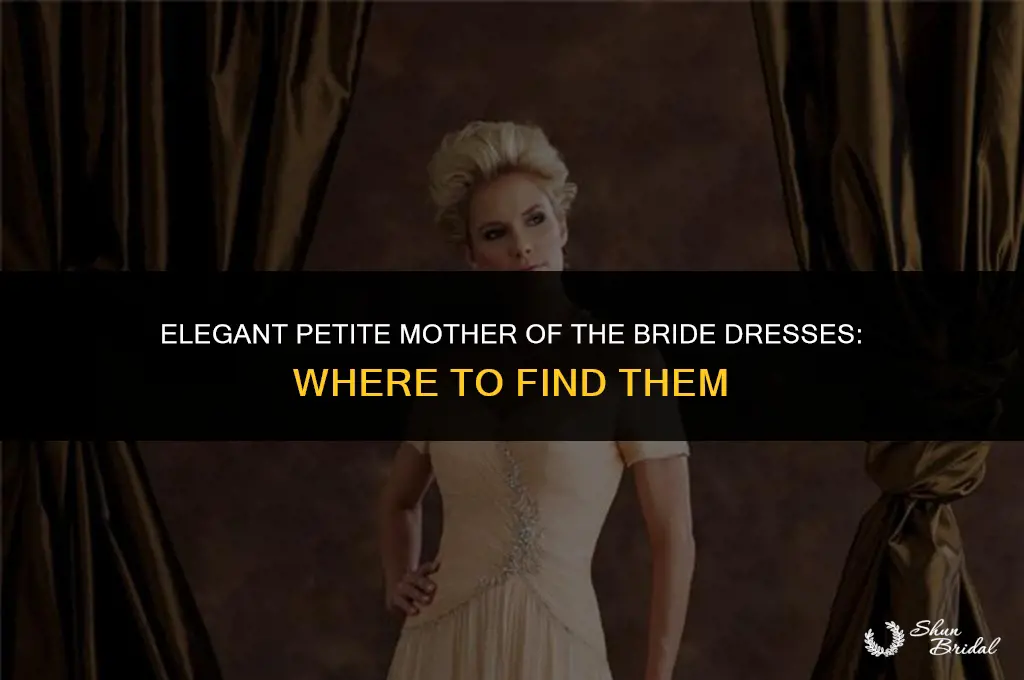 where to buy petite mother of the bride dresses