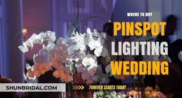 Best Places to Buy Pinspot Lighting for Your Wedding