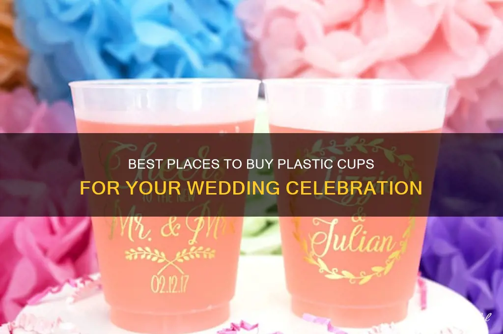 where to buy plastic cups for wedding