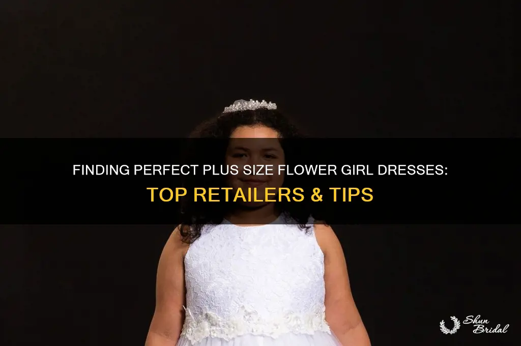 where to buy plus size flower girl dresses