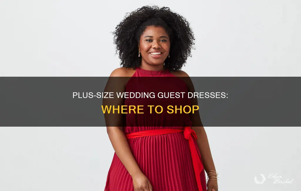 where to buy plus size wedding guest dresses