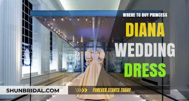 Diana's Wedding Gown: Where to Buy the Look