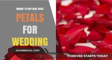 Where to Buy Real Rose Petals for Your Dream Wedding