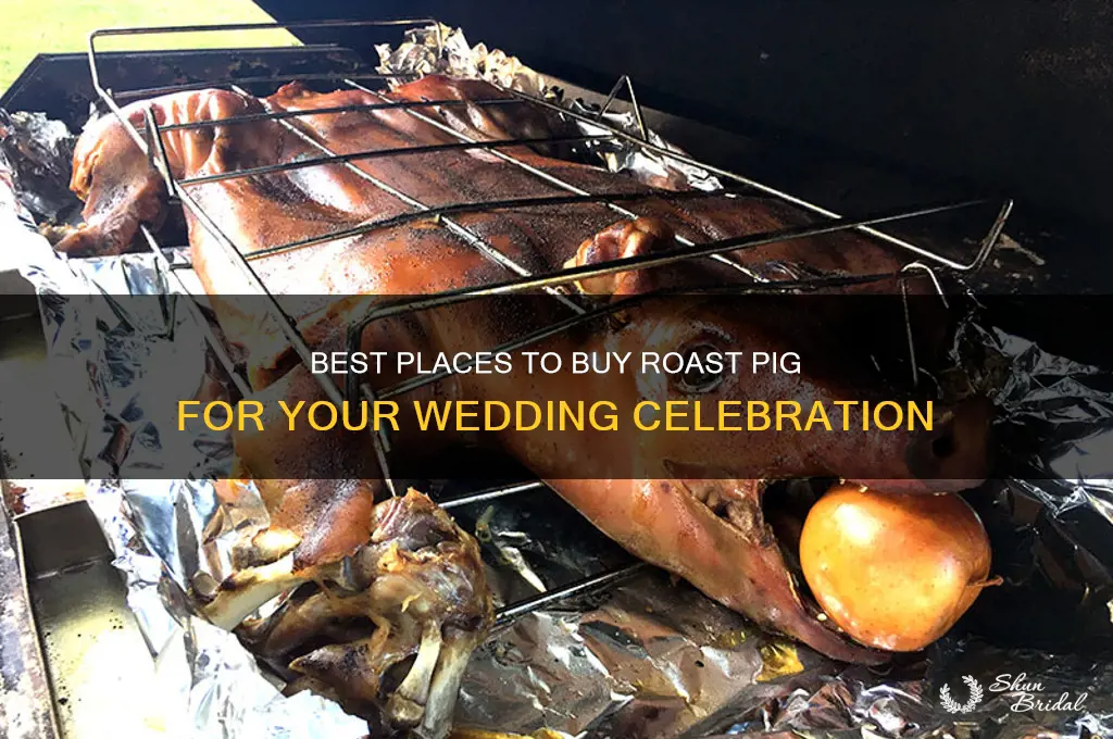 where to buy roast pig for wedding