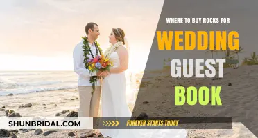 Unique Wedding Guest Book Ideas: Where to Buy Rocks for Signatures