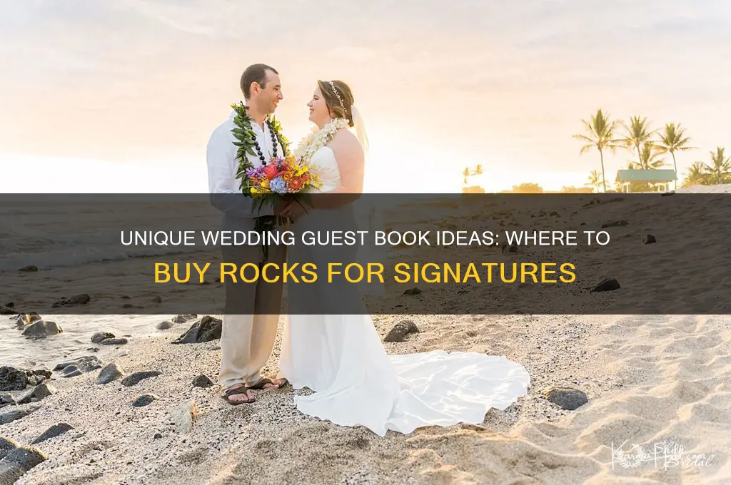 where to buy rocks for wedding guest book