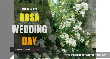 Where to Buy Rosa Wedding Day: Top Retailers and Tips