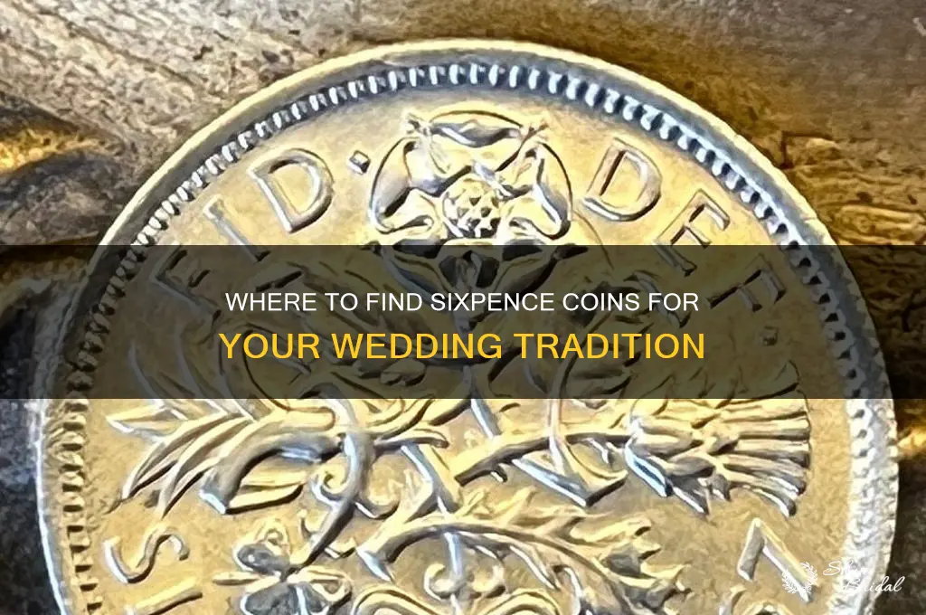 where to buy sixpence for wedding