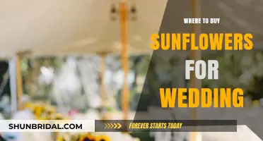 Best Places to Buy Sunflowers for Your Dream Wedding Decor